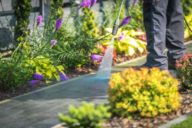 Best Fence Cleaning  in Meadview, AZ