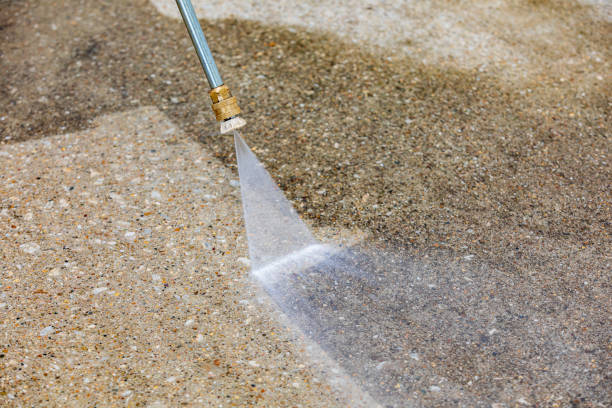 Best Animal Enclosure Cleaning  in Meadview, AZ